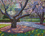 Twin Cherry Trees; 24x30